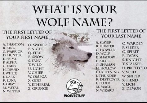 Funny Name Generator, Werewolf Name, Fantasy Character Names, Dragon Names, Best Character Names, Fantasy Names, Wolf Quotes, Name Suggestions, Funny Names