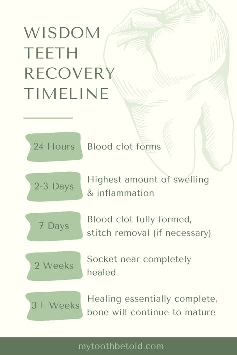 Hygienists Guide: Eating Popcorn After Wisdom Teeth Removal Avoid popcorn for 7-14 days post wisdom tooth removal to allow proper healing and minimize the risk of complications like dry socket and infection. Popcorn can disrupt healing by lodging in extraction sites. Individual medical history, age, and health conditions can affect healing times. Prioritizing healing in the first week will set you up for success and allow you to heal much faster. Wisdom Teeth Recovery Food, Wisdom Teeth Removal Food, Healing Phase, Wisdom Teeth Food, Wisdom Tooth Removal, Wisdom Teeth Recovery, After Wisdom Teeth Removal, Teeth Surgery, Baby Tooth Decay