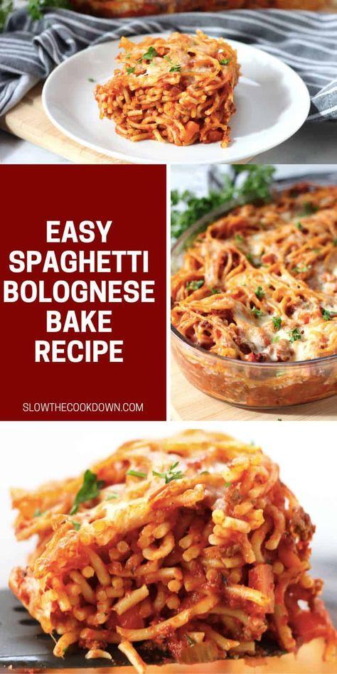 Rich and cheesy, this simple spaghetti bolognese bake is a deliciously comforting family meal that everyone will enjoy. A rich meat sauce is tossed with spaghetti, loaded with cheese and baked to perfection. Bolognese Bake, Bake Spaghetti, Bolognese Pasta Bake, Easy Spaghetti Bolognese, Bolognese Pasta, Baked Spaghetti Casserole, Simple Spaghetti, Pasta Bolognese, Spaghetti Casserole