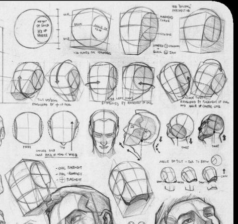 Atonomy Drawing, Draw Head, Loomis Method, Planes Of The Face, Drawing The Human Head, Art Of Drawing, Head Anatomy, Human Body Drawing, Head Drawing