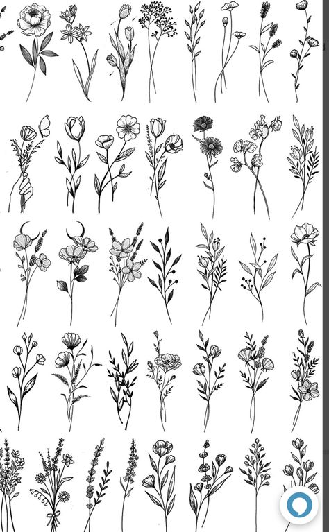 Wild Flowers Line Drawing, Flowers Flash Tattoo, Astilbe Tattoo, Minimalist Flower Tattoo Line Drawings, Tattoo Flash Sheet Ideas, Wildflower Leg Tattoo, Flower Flash Sheet, Wildflower Tattoos For Women, Floral Flash Tattoo