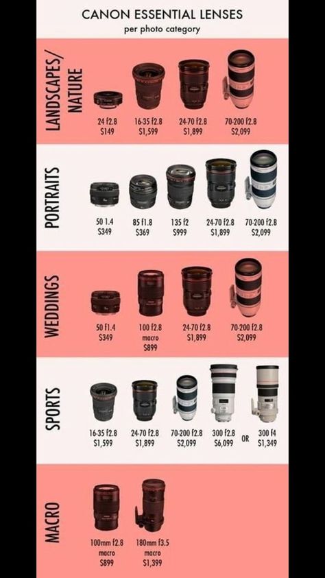 Different Lenses Photography, Photography Lens Guide, Photography Ideas Beginners, Canon Essential Lenses, Canon 75-300mm Lens Photos, Camera Lens Canon, Canon 1500d Photography Tips, Camera Essentials Photographers, Dslr Camera For Beginners Photography Basics