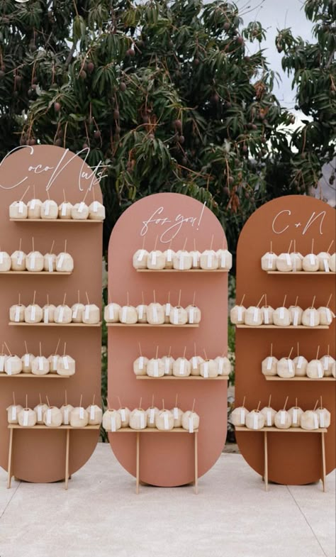 Guest Seating Chart Wedding, Guest Seating Chart, Destination Wedding Cabo, Drink Wall, Wedding Cabo, Cabos Wedding, Drink Board, Destination Wedding Favors, Los Cabos Wedding