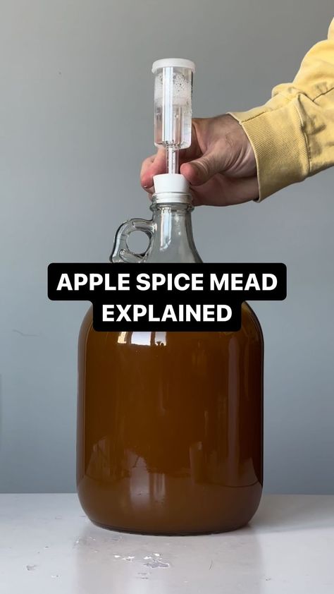 Golden Hive Mead | Apple spice mead explained #mead #meadmaking #homebrewing #brew #honeywine | Instagram Spiced Mead Recipe, Mead Wine Recipes, Mead Recipes, Recipe With Apple, Honey Mead, Mead Recipe, Mead Wine, Honey Wine, Apple Butter Recipe