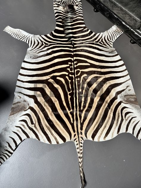 Zebra hide Antler Lamp, Zebra Hide, Glass Display Case, Interior Architect, Animal Skin, Display Case, Furniture Accessories, Mammals, Lamp Light