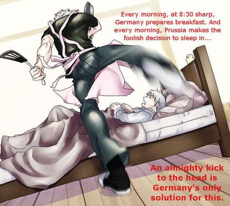 Germany and Prussia Prussia Hetalia, Soul Photo, Hetalia Headcanons, Germany And Prussia, Hetalia Funny, Pink Apron, Hetalia Axis Powers, Geek Life, Brotherly Love