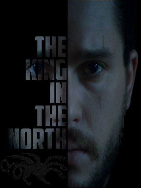 Jon Snow King in the North! ❤️ King Jon Snow, The King In The North, The North Remembers, Making Flowers, King In The North, Hbo Game Of Thrones, Kings Game, Gra O Tron, Games Of Thrones