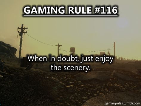 Submitted... | Gaming Rules Skyrim Scenery, What Do I Do Now, Video Game Quotes, Gamer Quotes, Gaming Rules, Game Quotes, Save File, Fallout 3, Video Game Memes