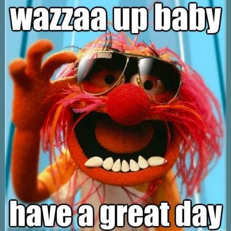 great day animal muppets meme Humour, Good Day Meme, Great Day Quotes, Funny Good Morning Memes, Morning Memes, Funny Good Morning Quotes, Morning Quotes Funny, Good Morning Funny, Good Day Quotes