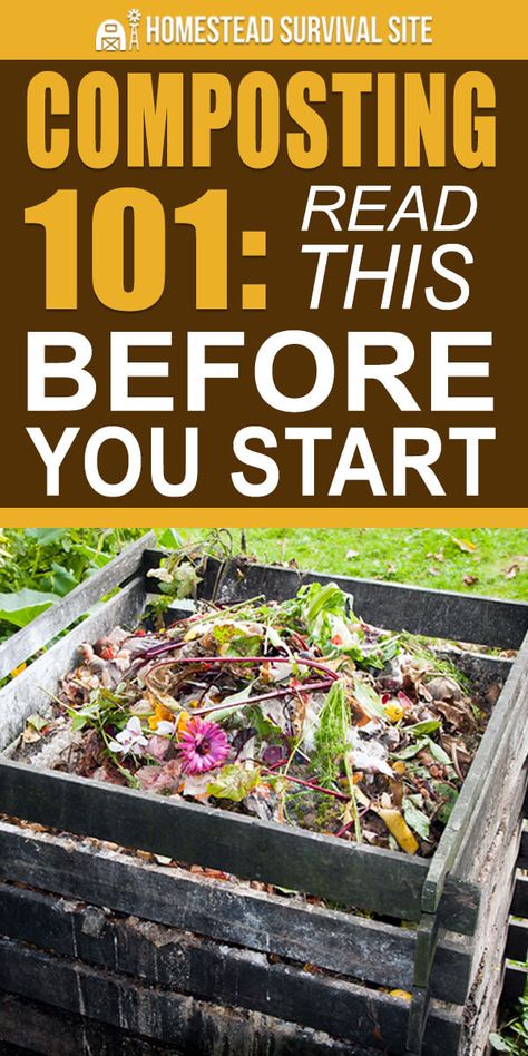 Composting 101, Composting At Home, Garden Food, Organic Vegetable Garden, Garden Compost, Homestead Survival, Organic Gardening Tips, Hydroponic Gardening, Composting