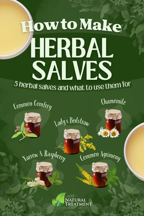 Herbal Beauty Recipes, Diy Salves And Balms, Herbal Salves Recipes, Holistic Medicine Recipes, Botanical Recipes, Tincture Recipes, Homemade Lifestyle, Balms And Salves, Apothecary Recipes