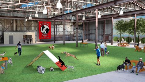 Dog Rescue Facility, Dog Park Design, Dog Daycare Design, Dog Daycare Business, Indoor Dog Park, Dog Boarding Facility, Animal Rescue Center, Pet Boarding, Dog Playground