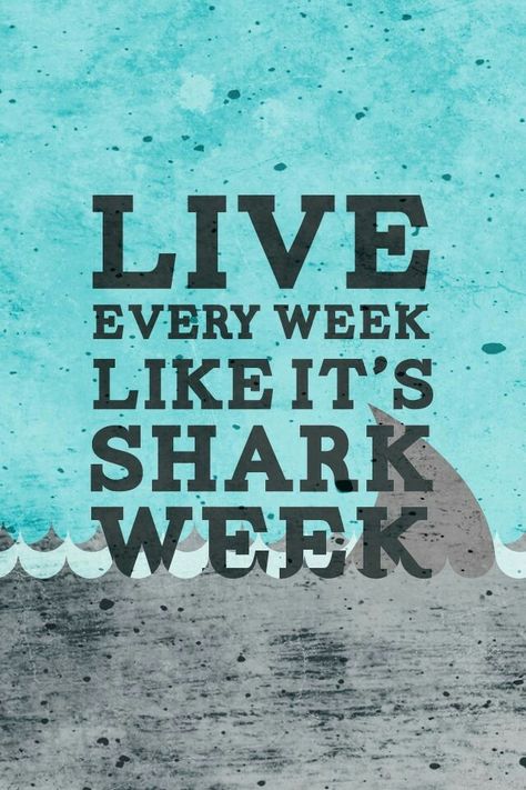 Shark Week Quotes, Shark Week Party, Personal Motto, Save The Sharks, Shark Bait, 30 Rock, Macklemore, It's Coming, Shark Party