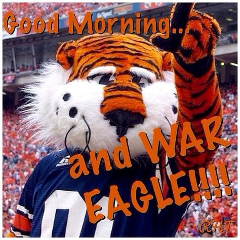 Fort Hays State University Tigers, Auburn Ideas, Auburn Clothes, Auburn Memes, Auburn Tigers Football, Auburn Alabama, Cowboys Eagles Memes, Sec Football, Auburn Football