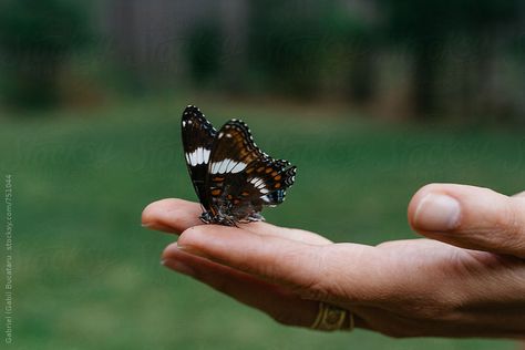 Holding Butterfly, American Badger, How To Draw Fingers, Show Of Hands, Hand Photography, Hands Holding, Butterfly Effect, Colorful Butterfly, Healthy Babies