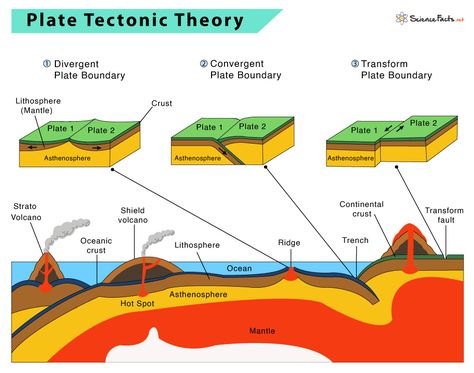 Plate Tectonics: Definition, Theory, Types, Facts, & Evidence Lithospheric Plates, Plate Tectonic, Tectonic Plate Boundaries, Tectonic Plate Movement, Plate Tectonic Theory, Boundaries Worksheet, Geography Notes, Basic Geography, Earth Science Lessons