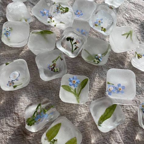 Blue Flowers, Glass, Flowers, Green, On Instagram, Blue, White, Instagram