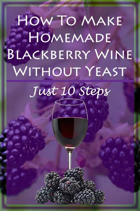 Make Wine At Home, Fruit Wine Recipes, Wine Making Recipes, Homemade Wine Recipes, Mead Wine, Wine At Home, Homemade Alcohol, Blackberry Wine, Homemade Liquor