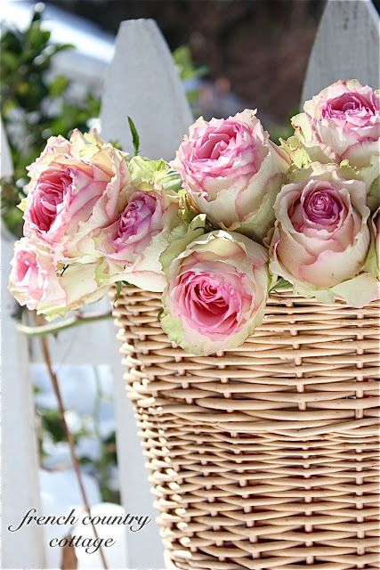 FRENCH COUNTRY COTTAGE: A Little Basket of Roses Baskets With Flowers, Flowers In A Basket, Country Love, Deco Nature, French Country Cottage, Romantic Flowers, Rose Cottage, Romantic Roses, Picket Fence