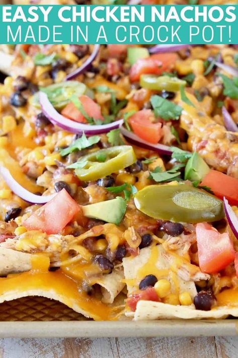 Chicken Nachos Crockpot, Loaded Chicken Nachos Recipe, Taco Dips, Easy Chicken Nachos, Shredded Chicken Nachos, Walnut Chicken Recipe, Panini Recipes Chicken, Shredded Chicken Crockpot, Cheesy Pasta Recipes