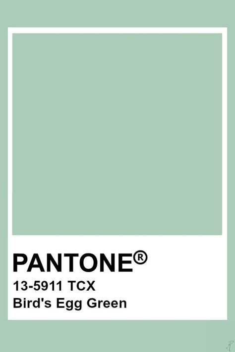 2019-2020 Autumn Winter "Noon" Bird's Egg Green Pantone Tcx Green, Mint Refresher, Pantone Tcx, Pantone Green, Pantone Color Chart, Pantone Swatches, Pantone 2020, Pantone Palette, Pantone Colour Palettes