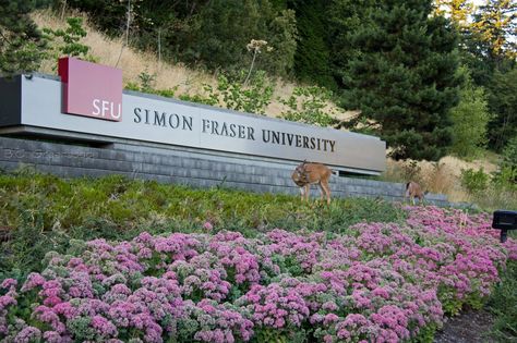 Simon Fraser University Smirnoff Raspberry, Girls Night Drinks, Perfect Lipstick Shade, Simon Fraser University, Malibu Coconut, 15 Makeup, Perfect Red Lips, Raspberry Vodka, Lemon-lime Soda