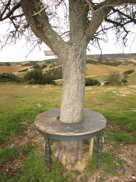 https://flic.kr/p/22RTTBz | Save the tree trunk... have a "Green" outdoor table... | Save the tree trunk... have a "Green" outdoor table... Tree Table Outdoor, Tree Trunk Pergola, Table Built Around Tree, Table Around Tree Trunk, Table Around Tree, Stump Table Outdoor, Tree Trunk Ideas, Bench Around Trees, Tree Seat