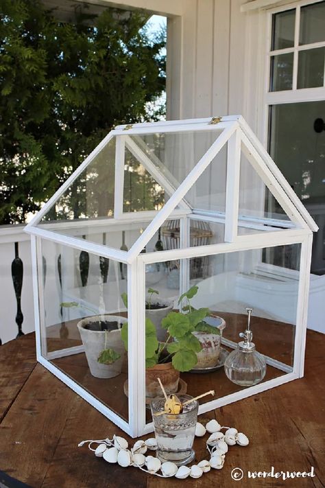 awesome 8 Awesome Creative Mini Greenhouses for Small Space To Try https://matchness.com/2018/04/05/8-awesome-creative-mini-greenhouses-for-small-space-to-try/ Diy Indoor Greenhouse, Rustic Greenhouses, Diy Mini Greenhouse, Homemade Greenhouse, Diy Photo Frame, Cheap Greenhouse, Modern Greenhouses, Greenhouse Supplies, Best Greenhouse