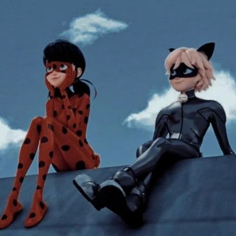 Cat Noir And Ladybug, Cute Picture, Cat Noir, On Instagram, Instagram