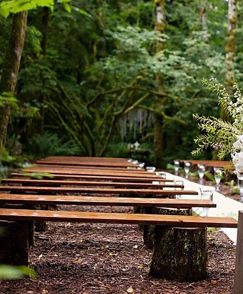 Natural Log Bench | supply-events Log Benches, Log Bench, Diy Outdoor Seating, Diy Outdoor Weddings, Backyard Wedding Ceremony, Tree Stumps, Seating Ideas, Ceremony Seating, Backyard Fire