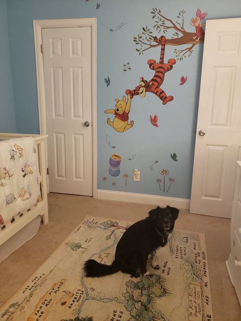 Baby Room Design Boy, Winnie The Pooh Decor, Pooh Nursery, Winnie The Pooh Nursery, Baby Room Themes, Baby Boy Room Decor, Baby Boy Room Nursery, Nursery Room Inspiration, Kids Room Inspiration