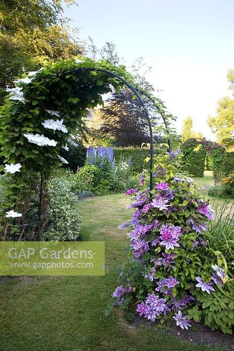 Clematis covered arch - Priory House Garden Arch Ideas Climbing Flowers, Clematis Arch, Vegetable Garden Beds, Climbing Flowers, Outdoor Patio Designs, Corner Garden, Garden Arches, Garden Design Plans, Lavender Plant