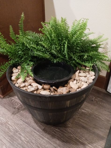 Dog Bowl Planter Diy, Outdoor Dog Bowl Ideas, Dog Watering Station Indoor, Dog Bowl Planter, Outside Dog Water Bowl Ideas, Big Dog Water Bowl Ideas, Dog Water Bowl Planter, Dog Water Bowl Garden, Dog Water Planter