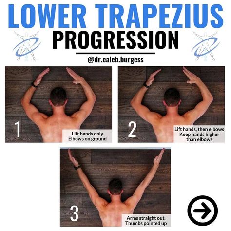 Dr. Caleb Burgess DPT OCS CSCS on Instagram: “💥Low Trap Progression💥 - 💯 Tag a friend who could use this progression! - 💥The middle and lower trapezius muscles can be helpful to…” How To Stretch Trapezius Muscle, Lower Trapezius Stretch, Lower Traps Exercises, Stretch Trapezius Muscle, Trap Muscle Workout, Lower Trapezius Exercises, Lower Trap Exercises, Trap Release, Traps Exercises