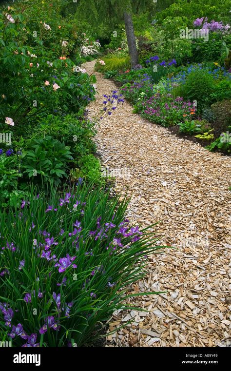 Download this stock image: Wood chip path at Northwest Garden Nursery Eugene Oregon - A09Y49 from Alamy's library of millions of high resolution stock photos, illustrations and vectors. Cedar Wood Chips Landscaping, Wood Chip Walkway, Bark Pathway Garden Paths, Woodchips Garden Landscaping, Wood Chip Garden Path, Wood Chip Pathway, Woodland Garden Path, Wood Chip Patio, Mulch Garden Path