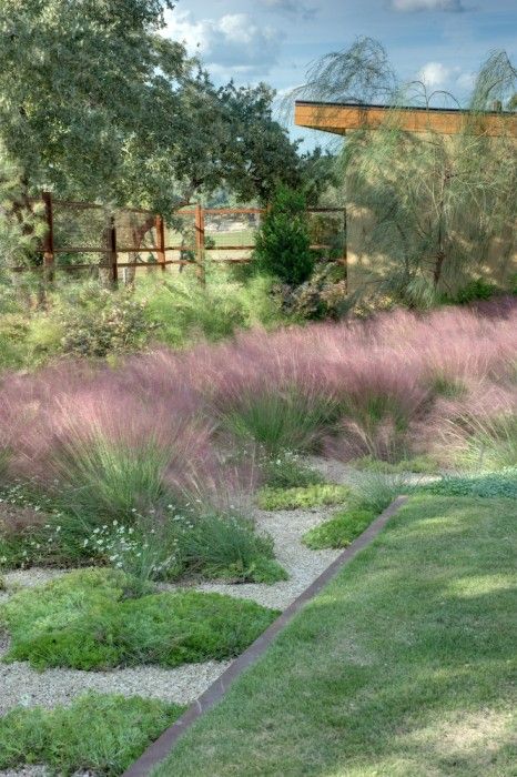 Texas Hill Country landscape design. Pink muhly grass, silver phony foot. Drought tolerant plants. Garden design inspiration. Slope Garden, Low Water Gardening, Grasses Landscaping, Sloped Garden, Country Landscape, Modern Landscape Design, Grasses Garden, Landscape Concept, Landscape Architecture Design