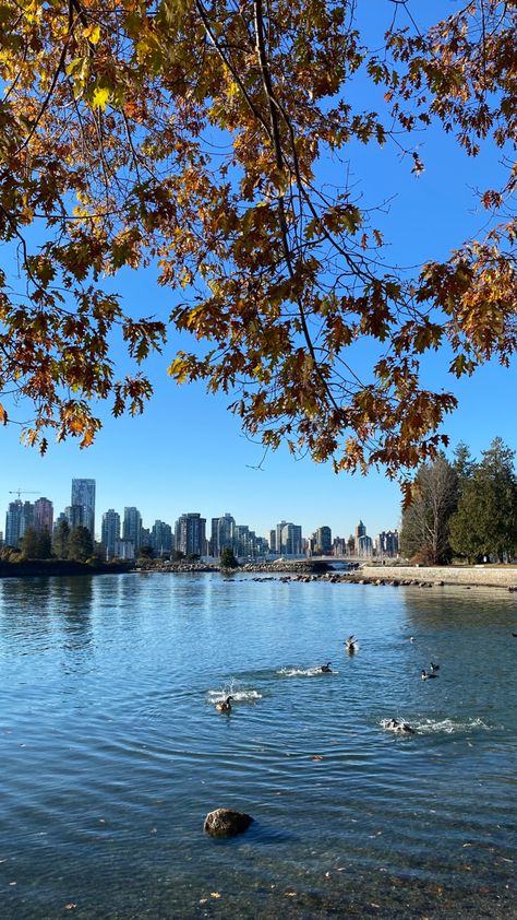 Vancouver Fall Aesthetic, Emigration Aesthetic, Living In Vancouver, Ubc Vancouver Aesthetic, Vancouver Canada Aesthetic, Vancouver Aesthetic, Canada Vibes, Vancouver Beach, Stanley Park Vancouver