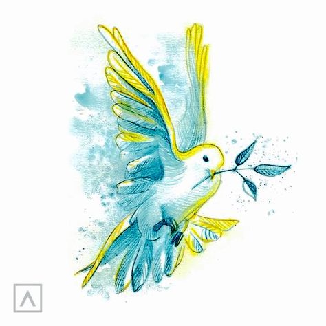 Cute Dove Drawing, How To Draw A Dove, Dove Drawing Simple, Pictures Drawing Easy, Dove Bird Art, Dove Illustrations, Dove Sketches, Simple Bird Drawing, Using Watercolor Pencils