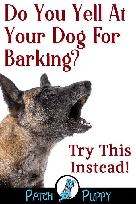 Pet Recipes, Stop Dog Barking, Barking Dog, Dog Training Advice, Dog Brain, Dog Training Techniques, Best Dog Training, Train Your Dog, Aggressive Dog