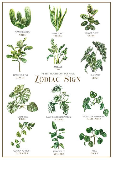 Watercolor House Plants Zodiac Sign Poster Printable Trendy - Etsy Snake Plant Tattoo, Snake Plant Indoor, Zodiac Sign Poster, Plant Png, Indoor Plant Wall, Watercolor House, Hanging Plant Wall, House Plant Pots, Plant Tattoo