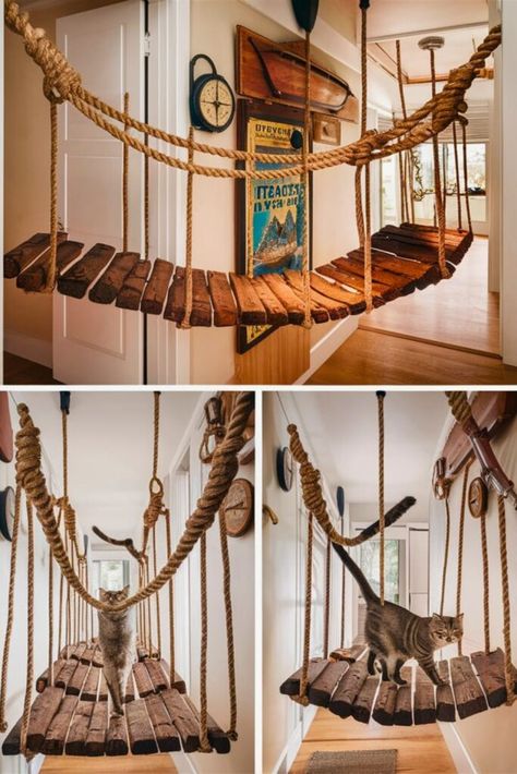 Catio Ideas Cat Diy, Cat Playroom, Cat Jungle Gym, Cat Park, Cat Bridge, Bridge Ideas, Outdoor Pet Enclosure, Cat Jungle, Cat Climbing Wall