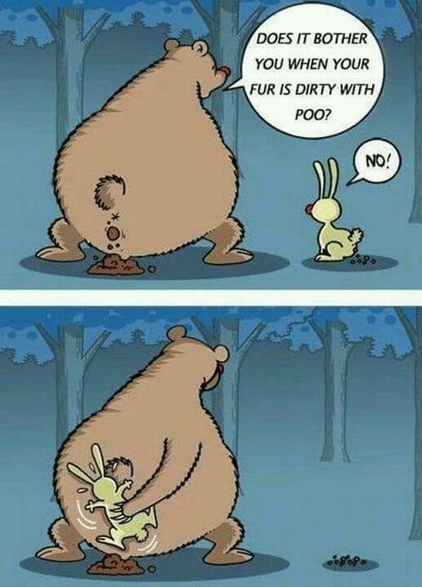 Funny P, Funny Bears, Memes Humor, A Cartoon, Funny Cartoons, Bones Funny, Funny Comics, I Laughed, Fails