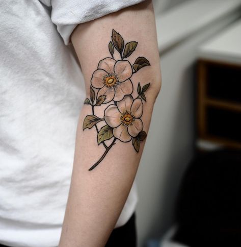 Prairie Rose Tattoo, Wild Prairie Rose, Wild Rose Tattoo, Prairie Flowers, Prairie Rose, Prairie Flower, Elements Tattoo, Flowers Tattoo, Wild Rose