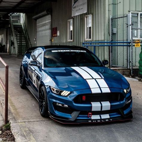 S550 Mustang, Ford Mustang Car, 2015 Mustang, Ford Mustang Shelby Gt500, Ford Lincoln Mercury, Ford Shelby, Shelby Gt500, Ford Mustang Shelby, Mustang Cars