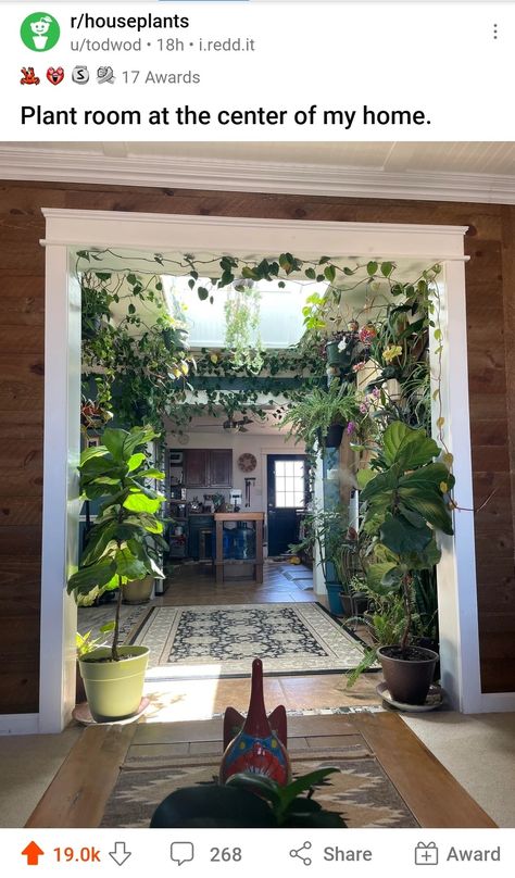 Plant Room, Room With Plants, Dream Room Inspiration, Plant Mom, House Goals, Dream Decor, Dream Rooms, Dream House Decor, Cool Rooms