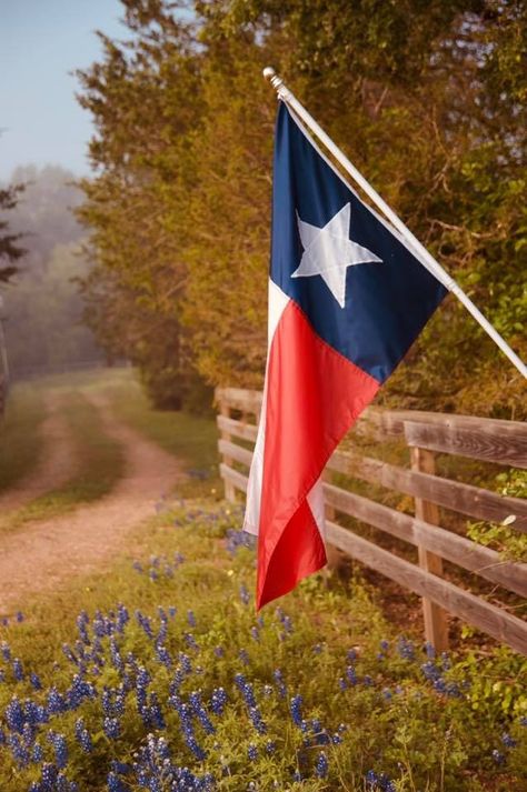 God's country Only In Texas, Texas Life, Texas Living, Republic Of Texas, Visit Texas, Texas Places, Texas Forever, Texas Bluebonnets, Texas Photography