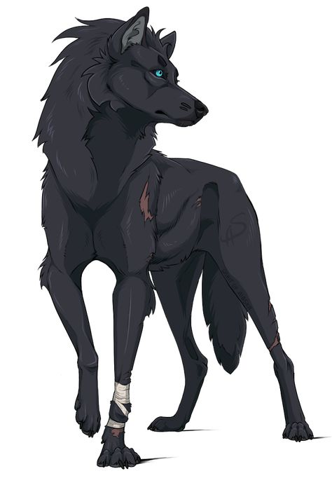 Wolf Character Art, Shimizu Reiko, Drawing Of A Wolf, Wolf Anime, Wolf Poses, Anime Wolf Drawing, Dog Design Art, Cute Wolf Drawings, Wolf Sketch