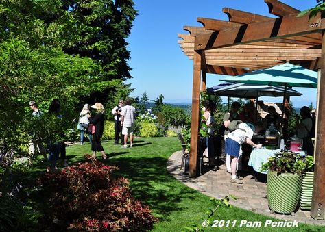 semi-circle pergola Semi Circle Garden Ideas, Diy Circle Trellis, Half Round Pergola, Semi Circle Pergola, Semi Circle Garden Bed, Yard Landscaping, Pergola, Yard, Outdoor Structures