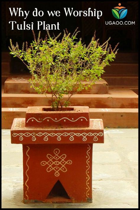 Tulasi Pot Designs Painting, Terasse Ideas, Tulasi Plant, Tulsi Pot, Tulsi Plant, Home Decor Items Online, Pooja Room Door Design, Meteor Garden 2018, Goddess Decor