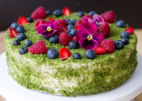 Forest Moss cake ⋆ MeCooks Blog Moss Cake, Garden Birthday Cake, Spinach Cake, Blueberries And Strawberries, Miss Cake, Carrot Cupcake, Fruit Cream, Forest Moss, Cake Fruit